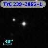 TYC  239-2065-1