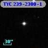TYC  239-2300-1
