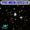 TYC 4020-1772-1
