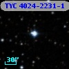 TYC 4024-2231-1