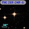 TYC  237-247-1