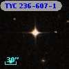 TYC  236-607-1