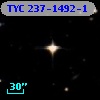 TYC  237-1492-1
