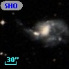 SHOC 281b