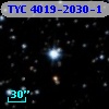TYC 4019-2030-1