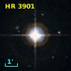 HR  3901