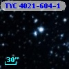 TYC 4021-604-1
