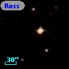 Ross  441