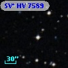 SV* HV  7589