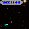 NOGG P1  445