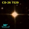 CD-26  7529