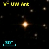 V* UW Ant