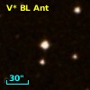 V* BL Ant