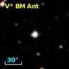 V* BM Ant