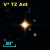 V* TZ Ant
