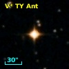 V* TY Ant