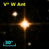 V* W Ant