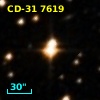 CD-31  7619