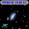 [TP95] IC  2510  12