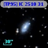 [TP95] IC  2510  31
