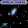 [TP95] IC  2510  61