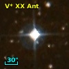 V* XX Ant