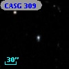 CASG  309