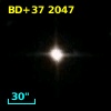 BD+37  2047