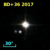 BD+36  2017