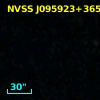 NVSS J095923+365240