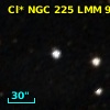 Cl* NGC  225    LMM      97