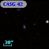 CASG   42