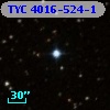 TYC 4016-524-1