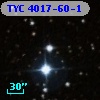 TYC 4017-60-1