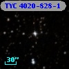 TYC 4020-828-1