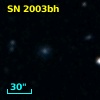SN 2003bh
