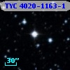 TYC 4020-1163-1