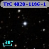 TYC 4020-1186-1