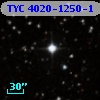 TYC 4020-1250-1