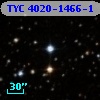 TYC 4020-1466-1