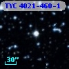 TYC 4021-460-1