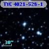 TYC 4021-528-1