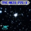 TYC 4021-775-1