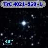 TYC 4021-950-1