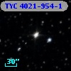 TYC 4021-954-1