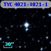 TYC 4021-1021-1