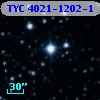 TYC 4021-1202-1