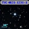 TYC 4021-1231-1
