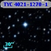 TYC 4021-1270-1