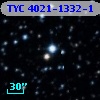 TYC 4021-1332-1